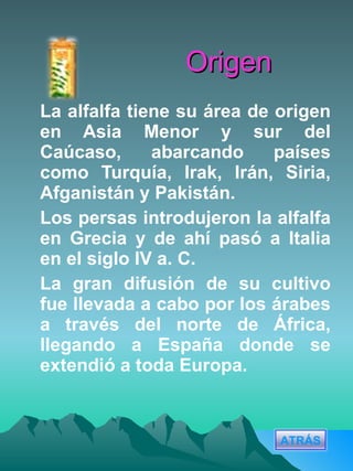 Origen La alfalfa tiene su área de origen en Asia Menor y sur del Caúcaso, abarcando países como Turquía, Irak, Irán, Siria, Afganistán y Pakistán. Los persas introdujeron la alfalfa en Grecia y de ahí pasó a Italia en el siglo IV a. C. La gran difusión de su cultivo fue llevada a cabo por los árabes a través del norte de África, llegando a España donde se extendió a toda Europa. ATRÁS 