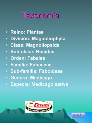 Taxonomía Reino: Plantae División: Magnoliophyta Clase: Magnoliopsida Sub-clase: Rosidae Orden: Fabales Familia: Fabaceae Sub-familia: Faboideae Genero: Medicago Especie: Medicago sativa ATRÁS 