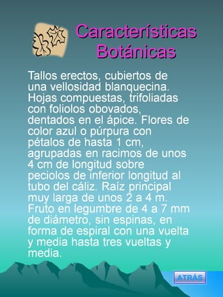 Características Botánicas ATRÁS 