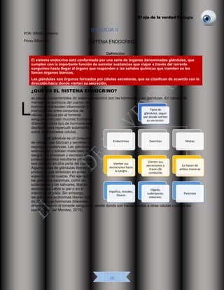 El ojo de la verdad Biología
20
BIOLOGIA II
SISTEMA ENDOCRINO
Definición:
El sistema endocrino está conformado por una serie de órganos denominadas glándulas, que
cumplen con la importante función de secretar sustancias que viajan a través del torrente
sanguíneo hasta llegar al órgano que responden a las señales químicas que tramiten se les
llaman órganos blancos.
Las glándulas son órganos formados por células secretoras, que se clasifican de acuerdo con la
dirección hacia donde vierten su secreción,
¿QUÉ ES EL SISTEMA ENDOCRINO?
as piezas fundamentales de sistema endocrino son las hormonas y las glándulas. En calidad de
mensajeros químicos del cuerpo, las
hormonas transmiten información e
instrucciones entre conjuntos de
células. Aunque por el torrente
sanguíneo circulan muchas hormonas
diferentes, cada tipo de hormona está
diseñado para repercutir solamente
sobre determinadas células.
Una glándula es un conjunto
de células que fabrican y secretan (o
segregan) sustancias. Las glándulas
seleccionan y extraen materiales de la
sangre, los procesan y secretan el
producto químico resultante para que
sea utilizado en otra parte del cuerpo.
Algunos tipos de glándulas liberan los
productos que sintetizan en áreas
específicas del cuerpo. Por ejemplo;
las glándulas exocrinas, como las
sudoríparas y las salivares, liberan
secreciones sobre la piel o en el
interior de la boca. Sin embargo,
las glándulas endocrinas liberan más
de 20 tipos de hormonas diferentes
directamente en el torrente sanguíneo, desde donde son transportadas a otras células y partes del
cuerpo. (Águilar Mendez, 2015)
L Tipos de
glàndulas, segun
por donde vierten
su secrecion:
Endoctrinas
Vierten sus
secreciones hacia
la sangre
Hipofisis, tiroides,
Ovario
Exocritas
Vierten sus
secreciones a
traves de
conductas
Higada,
sudoriparas,
sebaceas.
Mixtas
Lo hacen de
ambas maneras
Pancreas
POR: ISRAEL Antonio
Pérez Albornoz
 