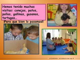LA PLANCHADA  -Actividades de clase- pág. 29 Hemos tenido muchas visitas: conejos, patos, pollos, gallinas, gusanos, tortugas… ¡Pero que bien lo pasamos!! 