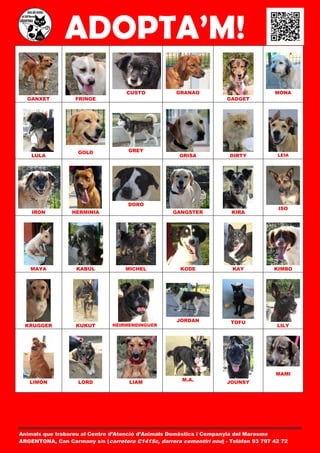 ADOPTA’M!
                                    CUSTO            GRANAO                           MONA
  GANXET           FRINGE                                             GADGET




                    GOLD             GREY
    LULA                                              GRISA            DIRTY           LEIA




                                    DORO
                                                                                       ISO
    IRON         HERMINIA                           GANGSTER           KIRA




   MAYA            KABÚL            MICHEL            KODE              KAY           KIMBO




                                                     JORDAN            TOFU
  KRUGGER          KUKUT       HEIRMENDINGUER                                          LILY




                                                                                      MAMI
                                                       M.A.
   LIMÓN            LORD             LIAM                             JOUNSY




Animals que trobareu al Centre d’Atenció d’Animals Domèstics i Companyia del Maresme
ARGENTONA, Can Carmany s/n (carretera C1415c, darrera cementiri nou) - Telèfon 93 797 42 72
 