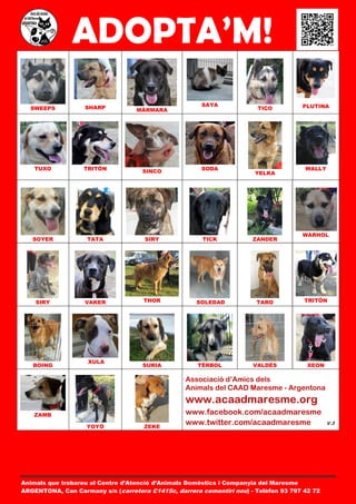 ADOPTA’M!
                   SHARP                              SAYA                           PLUTINA
  SWEEPS                           MÀRMARA                              TICO




    TUXO           TRITÓN           SINCO             SODA                            WALLY
                                                                       YELKA




                                                                                     WARHOL
   SOYER            TATA             SIRY              TICK           ZANDER




    SIRY           VAKER             THOR            SOLEDAD           TARO           TRITÓN




                    XULA
   BOING                            SURIA            TÈRBOL           VALDÉS           XEON

                                                  Associació d’Amics dels
                                                  Animals del CAAD Maresme - Argentona
                                                  www.acaadmaresme.org
   ZAMB                                           www.facebook.com/acaadmaresme
                   YOYÓ              ZEKE
                                                  www.twitter.com/acaadmaresme                V.3




Animals que trobareu al Centre d’Atenció d’Animals Domèstics i Companyia del Maresme
ARGENTONA, Can Carmany s/n (carretera C1415c, darrera cementiri nou) - Telèfon 93 797 42 72
 