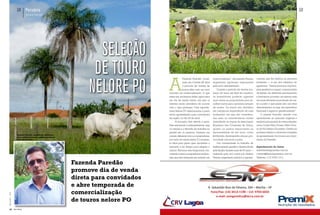 GR Pecuária                                                                                                                                                                                    GR
                                         Fazenda Paredão




                                                                               Seleção
                                                                              de touro
                                                                             Nelore PO           A
                                                                                                              Fazenda Paredão, locali-     touros avaliados”, diz Leandro Pineda,   cuarista que fez história na pecuária
                                                                                                              zada em Oriente-SP, abre     engenheiro agrônomo responsável          brasileira — é um dos objetivos do
                                                                                                              o período de vendas de       pela nova administração.                 agrônomo. “Vamos priorizar os princí-
                                                                                                              touros elite com um novo         Durante o período de vendas (co-     pios genéticos e seguir a mesma linha
                                                                                                 conceito de comercialização. O que        meço de maio até final de outubro),      da família. As diretrizes permanecem
                                                                                                 antes era um famoso leilão agora será     os investidores poderão agendar          e buscamos, portanto, um animal cada
                                                                                                 um dia de venda direta, em que os         suas visitas na propriedade para es-     vez mais eficiente na produção de car-
                                                                                                 clientes serão atendidos de acordo        colher touros para a próxima estação     ne a pasto e que passe isso aos seus
                                                                                                 com o que precisam. Cem reprodu-          de monta. Os touros são divididos        descendentes, ou seja, um reprodutor
                                                                                                 tores Nelore PO selecionados a pasto      em categorias dependendo de suas         funcional e superior geneticamente.”
                                                                                                 serão apresentados para convidados        avaliações, em que são considera-            O plantel Paredão atende com
                                                                                                 da região, no dia 28 de abril.            das tanto as características raciais     reprodutores ao mercado regional e
                                                                                                      “A inovação vem devido a ques-       (atendendo as regras da Associação       também pecuaristas de outros estados,
                                                                                                 tões estruturais e administrativas, mas   Brasileira dos Criadores de Zebu),       como Goiás, Mato Grosso, Mato Gros-
                                                                                                 os valores e a filosofia de trabalho no   quanto os pontos importantes na          so do Sul, Bahia e Tocantins. Confira na
                                                                                                 plantel são os mesmos. Faremos um         funcionalidade de um touro, como         próxima edição a cobertura completa
                               Leandro Pineda, engenheiro agrônomo
                               responsável pela nova administração da
                                                                                                 contato diferente com os compradores,     fertilidade, desempenho sexual, pre-     da apresentação dos touros aos convi-
                               Fazenda Paredão.                                                  por meio da venda direta. É o momen-      cocidade, estrutura e peso.              dados da Paredão.
                                                                                                 to ideal para quem quer aproveitar o          Dar continuidade ao trabalho de
                                                                                                 mercado e ter tempo para adaptar o        melhoramento genético desenvolvido       Agendamento de visitas
                                                                                                 animal. Abrimos esta temporada con-       pela família durante mais de 50 anos —   www.fazendaparedao.com.br
                                                                                                 vidando nossos compradores tradicio-      realizado pelo avô e pelo pai, Nelson    contato@fazendaparedao.com.br
                                                                                                 nais que têm interesse em investir em     Pineda, engenheiro químico e agrope-     Telefone: (14) 3456-1214

                                                                        Fazenda Paredão
                                                                        promove dia de venda
                                                                        direta para convidados
                                                                        e abre temporada de                                                  AN Ú                    NCIO
                                                                                                                                      R. Sebastião Braz de Oliveira, 304 – Marília – SP
                                                                        comercialização                                                    (1/4)                     P Á G INA
                                                                                                                                        Fone/Fax: (14) 3413-1190 – Cel: 9703-6033
Ma rço /Ab r il · 2 0 1 2




                                                                                                                                            e-mail: esmgenetica@terra.com.br




                                                                                                                                                                                                                                       Giro Rural
                                                                        de touros nelore PO
      20                    Giro Rural                                                                                                                                                                                  Abril · 2011   16
 