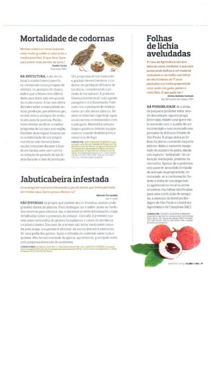 Revista Globo Rural - Carta de leitores sobre codorna e jabuticaba