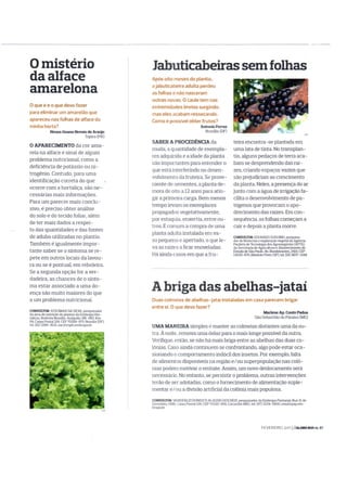 Revista Globo Rural -  jabuticaba