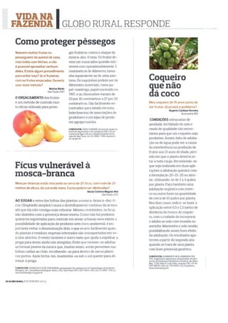 Revista Globo Rural - pêssego