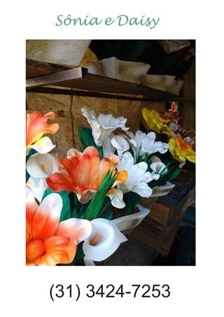 Sônia e Daisy
(31) 3424-7253
 