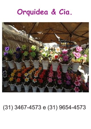 Orquidea & Cia.
(31) 3467-4573 e (31) 9654-4573
 