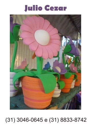 Julio Cezar
(31) 3046-0645 e (31) 8833-8742
 