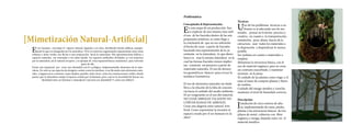 [Mimetización Natural-Artificial] 
El ser humano corrompe el espacio natural, Jugando a ser dios, decidiendo donde edificar, manipu-lando 
lo que era designado por la naturaleza. Vivir en entornos segmentados tajantemente entre áreas 
urbanas y áreas verdes, nos llevan a una enajenación hacia la naturaleza. Mis aproximaciones lúdicas a 
espacios naturales me remontan a mi niñez donde los espacios artificiales olvidados, se ven inmersos 
por la naturaleza, así lo natural recupera y se apropia de estas espacios(buscar sinónimos) para volverlas 
parte de ella. 
Existe una inquietud por crear una identidad con lo ecológico, Implementando elementos de la natu-raleza, 
No solo en sus espacios de designio común como los jardines, si no llevando estos elementos natu-rales 
a lugares poco comunes, como tejados, paredes, entre otros. como las construcciones verdes, donde 
parece que la naturaleza rompe el espacio creado por el humano, pero cual es la necesidad de buscar esa 
identidad entre ser humano y naturaleza? cual seria esa identidad? Y como nos influye? 
Problemática: 
Conceptuales & Representación: En esta etapa de mi producción bus-co 
explorar de una manera mas sutil 
el uso de las fractales dentro de las mis 
propuestas artísticas, es como llego a 
la conclusión de que no era suficiente 
el hecho de crear a partir de fractales 
haciendo una representación de lo ya 
existente en la naturaleza, lo que ahora 
busco es usar la misma naturaleza en la 
cual las formas fractales vienen implíci-tas, 
construir mi proyecto a partir de 
materiales naturales. El uso de elemen-tos 
geométricos básicos para evocar la 
temática Geométrica. 
El uso de elementos naturales sin duda 
lleva a la relación de la falta de concien-cia 
hacia el cuidado del medio ambiente . 
El ser congruente en el uso del material, 
NO USAR ARBOLES TALADOS! NO 
CORTAR RAMAS DE ARBOLES. 
Crear una alegoría entre natural-Arti-ficial. 
Como representar la invasión al 
espacio creado por el ser humano en la 
obra? 
Técnicos: Uno de los problemas técnicos a en-frentar 
es el adecuado uso de ma-teriales, 
pensar en la forma practica y 
creativa, en cuanto a la transportación, 
instalación, peso, altura, fuerza de la 
estructura. usar todos los materiales a 
la disposición y desperdiciar lo menos 
posible. 
Ser realistas en cuanto a materiales a 
emplear. 
Mimetizar la estructura básica, con el 
uso de material orgánico, para no crear 
un contraste exacerbado, y mantener 
armonía en la pieza. 
El cuidado de las plantas como riego, y el 
estar al tanto de comprar plantas y flores 
de sombra. 
Cuidado del musgo siembra y cosecha. 
mantener el nivel de humedad correcto. 
Instalación Descripción: de cinco metros de altu-ra, 
implementando de rama, piedra, 
plantas a las estructuras básicas de tres 
pilares de metal cubiertos con fibra 
orgánica y musgo, dejando entre ver el 
material metálico. 
 