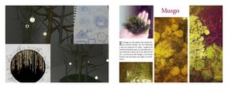Musgo 
El musgo es una planta que puede du-rar 
mucho tiempo sin ser hidratada 
y aun así conserva su color, requiere de 
mucha humedad para su reproducción y 
una ubicación fuera de la luz directa del 
sol. La estructura del musgo es de forma 
fractal, esta asociada a las algas y los hel-echos. 
 