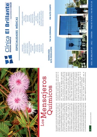 ESPECIALIDADES MÉDICAS
                                                                                                                                 CARDIOLOGÍA                         OTORRINOLARINGOLOGÍA
                                                                                                                              CIRUGIA PEDIATRICA                           PEDIATRIA
                                                                                                                              CIRUGÍA GENERAL Y                          PROCTOLOGÍA
                                                                                                                              APARATO DIGESTIVO                           PSICOLOGÍA
                                                                                                                            CONSULTA DE ENFERMERIA                        PSIQUIATRIA
                                                                                                                                DERMATOLOGÍA                             REUMATOLOGIA
                                                                                                                                  GERIATRÍA                             TRAUMATOLOGIA
                                                                                                                              MEDICINA GENERAL                       TRAUMATOLOGIA INFANTIL
                                                                                                                                NEFROLOGÍA                                 UROLOGÍA
                                                                                                                                 NEUMOLOGIA                             ANÁLISIS CLÍNICOS
                                                                                                                                NEUROCIRUGÍA                         PRUEBAS CARDIOLÓGICAS
                                                                                                                                 NEUROLOGÍA                         RECONOCIMIENTOS MÉDICOS
          Los                                                                                                                  NEUROPSICOLOGIA                      RADIOLOGÍA CONVENCIONAL

                         Mensajeros                                                                                 RADIOLOGÍA
                                                                                                                  ALTA RESOLUCIÓN                  TAC 64 CORONAS             RM ALTO CAMPO
                               Químicos
Han pasado muchos años desde ese día, pero nunca          que las plantas no sienten dolor, pues carecen de
olvidaré la experiencia que nos hizo padecer un           receptores y de células nerviosas, pero aun así no
profesor de ﬁsiología vegetal. Nos detuvo junto a         me gustaría repetir la experiencia.
una frondosa planta llamada sensitiva o vergonzosa        Una fuente perenne de regocijo para quienes
(Mimosa pudica) y, encendiendo un largo fósforo,          aman la controversia es la cuestión de quién fue
lo acercó a la punta de una hoja grande (las hojas        el primero que encontró tal cosa o que anunció tal
de las mimosas y acacias están compuestas por             concepto cientíﬁco. Siempre que alguien asevera:
numerosas «hojitas» o foliolos a lo largo de la           «Fulano fue el primero en aﬁrmar que...», alguien
nervadura central) y allí lo mantuvo cierto tiempo.       más arguye: «Pero ya antes Perengano había escrito
Los foliolos empezaron a retraerse y cerrarse, pero       que...» Pues bien, algunos aﬁrman que Starling y
lo curioso es que el estímulo se fue desplazando a        Bayliss encontraron por primera vez pruebas de que
lo largo de la hoja, desde la punta lastimada hacia la    el organismo envía mensajes por medios químicos
base. Toda la hoja se inclinó lentamente dando una        de uno a otro órgano y dieron a los mensajeros
total impresión de brazo retorciéndose de dolor. Se       el nombre de hormonas. Otros sostienen que el
me erizó el pelo y casi oí gritar a la planta. Ya había   primero en plantear el concepto, aunque no el
visto yo muchas veces la respuesta de la sensitiva al     nombre de hormonas, fue Brown-Séquard.
tocar sus foliolos, pero jamás había visto su reacción    Hacia 1925 se empezó a sospechar que el
a un estímulo intenso y prolongado; estoy segura de       organismo vegetal tenía una coordinación química;



 28          PEQUES ALAUDA DIXIT                                                                                                                                        PEQUES ALAUDA DIXIT   41
                                                                                                               AVDA . DEL BRILLANTE, 64 - 14012 - CÓRDOBA - TFNO: 957 76 76 09 / FAX: 957 76 71 38
 