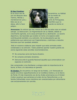 4
El Oso Frontino:
Es el único oso de Suramérica, su hábitat
son los Bosques altos de los Andes de
Táchira, Mérida y Trujillo, parte
meridional de Lara y norte de Portuguesa.
Este oso es un mamífero que no
ataca, sólo lo hace cuando se siente en
peligro.
Amenazas: Se estima que hay menos de 2.000 de estos osos en estado
salvaje. La destrucción y la fragmentación de su hábitat, debido al
crecimiento agrícola, es la causa principal de su declinación. La cacería
deportiva y las leyendas que existen en torno a la especie están
contribuyendo también a su extinción. Se ha descubierto que las
poblaciones que sobreviven son fragmentarias y restrictas a reductos
boscosos que han quedado aislados.
Está en nosotros colaborar para impedir que estos animales estén
condenados a la extinción. Todos podemos aportar nuestro granito de
arena siguiendo estas sencillas recomendaciones.
 No consumas carne de fauna silvestre.
 No compres animales silvestres.
 Denuncia ante la guardia Nacional aquellos que comercialicen con
especies en extinción.
Haz comprender a tus familiares y amigos sobre la importancia de la
fauna, la flora y la naturaleza en general.
El Cóndor: Se encuentra a lo largo de los Andes, y en Venezuela se
puede encontrar específicamente en la Cordillera Andina y en la Sierra
de Perijá. El más imponente ave de los Andes americanos es el Cóndor
(Vultur gryphus) que pertenece al orden de los Falconiformes y a la
familia Cathartidae cuyos miembros son caracterizados por alimentarse
casi exclusivamente con carroña.
 