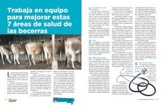 Revista Jersey Guatemala segunda edición