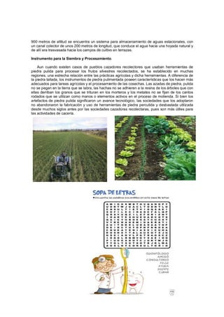 900 metros de altitud se encuentra un sistema para almacenamiento de aguas estacionales, con
un canal colector de unos 200 metros de longitud, que conduce el agua hacia una hoyada natural y
de allí era trasvasada hacia los campos de cultivo en terrazas.

Instrumento para la Siembra y Procesamiento.

    Aun cuando existen casos de pueblos cazadores recolectores que usaban herramientas de
piedra pulida para procesar los frutos silvestres recolectados, se ha establecido en muchas
regiones, una estrecha relación entre las prácticas agrícolas y dicha herramientas. A diferencia de
la piedra tallada, los instrumentos de piedra pulimentada poseen características que los hacen más
adecuados para tareas agrícolas y el procesamiento de las cosechas. Las azadas de piedra, pulida
no se pegan en la tierra que se labra, las hachas no se adhieren a la resina de los árboles que con
ellas derriban los granos que se trituran en los morteros y los metates no se fijan de los cantos
rodados que se utilizan como manos o elementos activos en el proceso de molienda. Si bien los
artefactos de piedra pulida significaron un avance tecnológico, las sociedades que los adoptaron
no abandonaron la fabricación y uso de herramientas de piedra percutida y desbastada utilizada
desde muchos siglos antes por las sociedades cazadoras recolectaras, pues son más útiles para
las actividades de cacería.
 