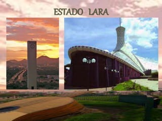 ESTADO LARA
 