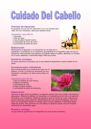 Champú de Aguacate 
El aguacate es muy rico en vitaminas A y E y en aceites natu­ 
rales. Es muy hidratante, ideal para cabellos secos. 

Ingredientes: (para 500 ml) 
  1 aguacate. 
  1 taza de agua. 
  1 taza de jabón liquido neutro. 
  1 cucharadita de zumo de limón. 
  2 cucharadas de aceite de oliva. 

Elaboración 
Machacamos el aguacate y lo mezclamos con el resto de in­ 
gredientes. Lo ponemos en un recipiente, guardándolo en el frigorífico cada vez que lo 
utilizamos. Para utilizarlo nos echamos un poquito sobre el cabello, dándonos un masaje 
en el cuero cabelludo y haciéndolo llegar hasta las puntas. 

N uestros consejos 
En pocas semanas se estropea, por lo que debemos desecharlo cuando cambie de as­ 
pecto. 

Acondicionador hidratante 
Este acondicionador que combina las rosas con el 
plátano, la miel y el aceite de almendras es muy 
hidratante, aromático y le dará mucho brillo a tu 
cabello. 

Ingredientes (para 500 ml) 
  1 taza de pétalos de rosa frescos. 
  2 plátanos medianos. 
  2 cucharadas de miel. 
  2 tazas de agua caliente. 
  2 cucharadas de aceite de almendra. 

Elaboración 
Vertimos el agua sobre los pétalos y lo dejamos reposar para que puedan marchitarse y 
ablandarse. Pelamos el plátano, lo troceamos y lo mezclamos con la miel y el aceite de 
almendras, con la batidora. Añadimos poquito a poco la mezcla de rosas, mientras se­ 
guimos batiendo a poca potencia. Obtendremos así una crema homogénea. Para utili­ 
zarlo nos lo aplicamos dando un masaje sobre el cuero cabelludo y haciéndolo llegar 
hasta las puntas. Nos cubrimos con una toalla y lo dejamos actuar unos 30 minutos. 
Aclaramos con abundante agua. 

N uestro consejo: 
Lo que sobre lo guardamos en el frigorífico (no mas de dos semanas).
 