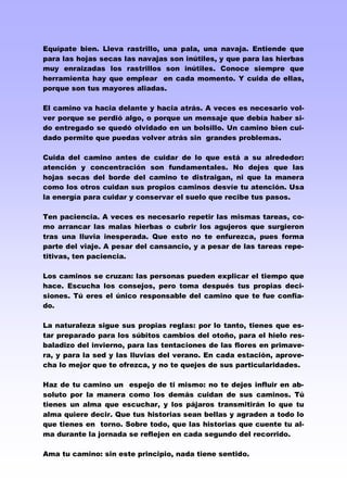 Equípate bien. Lleva rastrillo, una pala, una navaja. Entiende que
para las hojas secas las navajas son inútiles, y que para las hierbas
muy enraizadas los rastrillos son inútiles. Conoce siempre que
herramienta hay que emplear en cada momento. Y cuida de ellas,
porque son tus mayores aliadas.

El camino va hacia delante y hacia atrás. A veces es necesario vol­
ver porque se perdió algo, o porque un mensaje que debía haber si­
do entregado se quedó olvidado en un bolsillo. Un camino bien cui­
dado permite que puedas volver atrás sin grandes problemas.

Cuida del camino antes de cuidar de lo que está a su alrededor:
atención y concentración son fundamentales. No dejes que las
hojas secas del borde del camino te distraigan, ni que la manera
como los otros cuidan sus propios caminos desvíe tu atención. Usa
la energía para cuidar y conservar el suelo que recibe tus pasos.

Ten paciencia. A veces es necesario repetir las mismas tareas, co­
mo arrancar las malas hierbas o cubrir los agujeros que surgieron
tras una lluvia inesperada. Que esto no te enfurezca, pues forma
parte del viaje. A pesar del cansancio, y a pesar de las tareas repe­
titivas, ten paciencia.

Los caminos se cruzan: las personas pueden explicar el tiempo que
hace. Escucha los consejos, pero toma después tus propias deci­
siones. Tú eres el único responsable del camino que te fue confia­
do.

La naturaleza sigue sus propias reglas: por lo tanto, tienes que es­
tar preparado para los súbitos cambios del otoño, para el hielo res­
baladizo del invierno, para las tentaciones de las flores en primave­
ra, y para la sed y las lluvias del verano. En cada estación, aprove­
cha lo mejor que te ofrezca, y no te quejes de sus particularidades.

Haz de tu camino un espejo de ti mismo: no te dejes influir en ab­
soluto por la manera como los demás cuidan de sus caminos. Tú
tienes un alma que escuchar, y los pájaros transmitirán lo que tu
alma quiere decir. Que tus historias sean bellas y agraden a todo lo
que tienes en torno. Sobre todo, que las historias que cuente tu al­
ma durante la jornada se reflejen en cada segundo del recorrido.

Ama tu camino: sin este principio, nada tiene sentido.
 