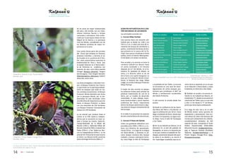 Belleza y colorido de las aves, una experiencia incomparable en Mindo | PDF