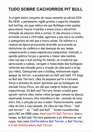 TUDO SOBRE CACHORROS PIT BULL 
A origem deste conjunto de raças remonta ao século XIX. 
Em 1835, o parlamento inglês proibiu o esporte chamado 
bull baiting, um jogo sádico em que Bulldogs eram usados 
para atacar touros trazidos a arena (com a discutível 
intenção de amaciar-lhes a carne). O cão atacava o touro, 
evitando coices e chifradas, agarrava o seu nariz ou orelha, 
e assegurava-se até que o touro caísse. Os súditos e a 
realeza da época procuravam diversão, procurando se 
distraírem da violência e das doenças de seu tempo 
comparecendo a esses espetáculos sangrentos. Contudo, a 
opinião pública forçou o governo a tomar uma medida. 
Uma vez que o bull baiting foi banido, os criadores que 
apreciavam a rudeza, coragem e tenacidade dos buldogues 
voltaram sua atenção para a criação de cães para a briga 
(ou rinha). Começaram com o bulldog, misturaram algum 
sangue de terrier, e produziram os Half and Half, Pit Dogs 
ou Bull and Terriers, cães de pequeno porte e extrema 
força e dotados de maior agilidade que os buldogues de 
elevada força física, um cão que cumpria todas as suas 
expectativas. Os Bull and Terriers foram criados para 
agredir outros cães, matar ratos (pragas comuns na época), 
mostrando bravura, alta tolerância à dor, vontade de lutar 
até o fim, e afeição ao seu criador. Posteriormente, esses 
cães de luta e caça pesada. Os cães do tipo físico ´´bull 
and terrier`` ou ´´half and half`` foram reconhecidos 
pelo UKC em 1898 como American Pit Bull Terriers. Com o 
tempo, os Bull and Terriers passaram a se diferenciar em 
raças, tais como Staffordshire Bull Terrier, o Bull Terrier, 
o Irish Staffordshire Bull Terrier 
 