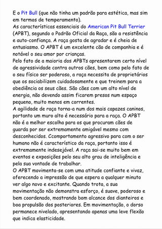 E o Pit Bull (que não tinha um padrão para estética, mas sim 
em termos de temperamento). 
As características essenciais do American Pit Bull Terrier 
(APBT), segundo o Padrão Oficial da Raça, são a resistência 
e auto-confiança. A raça gosta de agradar e é cheia de 
entusiasmo. O APBT é um excelente cão de companhia e é 
notável o seu amor por crianças. 
Pelo fato de a maioria dos APBTs apresentarem certo nível 
de agressividade contra outros cães, bem como pelo fato de 
o seu físico ser poderoso, a raça necessita de proprietários 
que os sociabilizem cuidadosamente e que treinem para a 
obediência os seus cães. São cães com um alto nível de 
energia, não devendo assim ficarem presos num espaço 
pequeno, muito menos em correntes. 
A agilidade de raça torna-a num dos mais capazes caninos, 
portanto um muro alto é necessário para a raça. O APBT 
não é a melhor escolha para os que procuram cães de 
guarda por ser extremamente amigável mesmo com 
desconhecidos. Ccomportamento agressivo para com o ser 
humano não é característico da raça, portanto isso é 
extremamente indesejável. A raça sai-se muito bem em 
eventos e exposições pelo seu alto grau de inteligência e 
pela sua vontade de trabalhar. 
O APBT movimenta-se com uma atitude confiante e vivaz, 
oferecendo a impressão de que espera a qualquer minuto 
ver algo novo e excitante. Quando trota, a sua 
movimentação não demonstra esforço, é suave, poderoso e 
bem coordenado, mostrando bom alcance dos dianteiros e 
boa propulsão dos posteriores. Em movimentação, o dorso 
permanece nivelado, apresentando apenas uma leve flexão 
que indica elasticidade. 
 