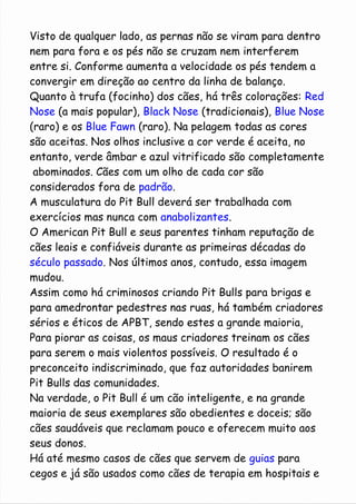 Visto de qualquer lado, as pernas não se viram para dentro 
nem para fora e os pés não se cruzam nem interferem 
entre si. Conforme aumenta a velocidade os pés tendem a 
convergir em direção ao centro da linha de balanço. 
Quanto à trufa (focinho) dos cães, há três colorações: Red 
Nose (a mais popular), Black Nose (tradicionais), Blue Nose 
(raro) e os Blue Fawn (raro). Na pelagem todas as cores 
são aceitas. Nos olhos inclusive a cor verde é aceita, no 
entanto, verde âmbar e azul vitrificado são completamente 
abominados. Cães com um olho de cada cor são 
considerados fora de padrão. 
A musculatura do Pit Bull deverá ser trabalhada com 
exercícios mas nunca com anabolizantes. 
O American Pit Bull e seus parentes tinham reputação de 
cães leais e confiáveis durante as primeiras décadas do 
século passado. Nos últimos anos, contudo, essa imagem 
mudou. 
Assim como há criminosos criando Pit Bulls para brigas e 
para amedrontar pedestres nas ruas, há também criadores 
sérios e éticos de APBT, sendo estes a grande maioria, 
Para piorar as coisas, os maus criadores treinam os cães 
para serem o mais violentos possíveis. O resultado é o 
preconceito indiscriminado, que faz autoridades banirem 
Pit Bulls das comunidades. 
Na verdade, o Pit Bull é um cão inteligente, e na grande 
maioria de seus exemplares são obedientes e doceis; são 
cães saudáveis que reclamam pouco e oferecem muito aos 
seus donos. 
Há até mesmo casos de cães que servem de guias para 
cegos e já são usados como cães de terapia em hospitais e 
 