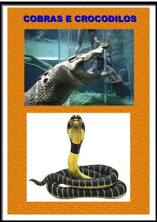 CCOOBBRRAASS EE CCRROOCCOODDIILLOOSS 
 