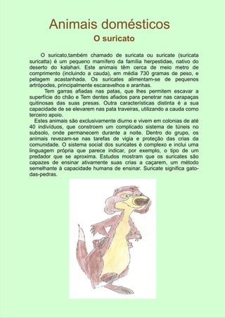 Animais domésticos 
O suricato 
O suricato,também chamado de suricata ou suricate (suricata 
suricatta) é um pequeno mamífero da família herpestidae, nativo do 
deserto do kalahari. Este animais têm cerca de meio metro de 
comprimento (incluindo a cauda), em média 730 gramas de peso, e 
pelagem acastanhada. Os suricates alimentam-se de pequenos 
artrópodes, principalmente escaravelhos e aranhas. 
Tem garras afiadas nas patas, que lhes permitem escavar a 
superfície do chão e Tem dentes afiados para penetrar nas carapaças 
quitinosas das suas presas. Outra características distinta é a sua 
capacidade de se elevarem nas pata traveiras, utilizando a cauda como 
terceiro apoio. 
Estes animais são exclusivamente diurno e vivem em colonias de até 
40 indivíduos, que constroem um complicado sistema de túneis no 
subsolo, onde permanecem durante a noite. Dentro do grupo, os 
animais revezam-se nas tarefas de vigia e proteção das crias da 
comunidade. O sistema social dos suricates é complexo e inclui uma 
linguagem própria que parece indicar, por exemplo, o tipo de um 
predador que se aproxima. Estudos mostram que os suricates são 
capazes de ensinar ativamente suas crias a caçarem, um método 
semelhante à capacidade humana de ensinar. Suricate significa gato-das- 
pedras. 
 