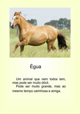 Égua 
Um animal que nem todos tem, 
mas pode ser muito dócil. 
Pode ser muito grande, mas ao 
mesmo tempo carinhosa e amiga. 
 