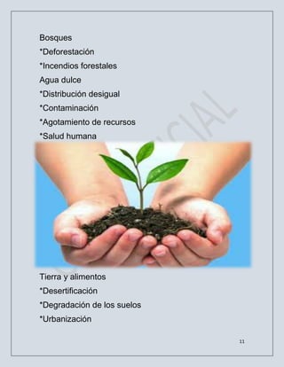 11
Bosques
*Deforestación
*Incendios forestales
Agua dulce
*Distribución desigual
*Contaminación
*Agotamiento de recursos
*Salud humana
Tierra y alimentos
*Desertificación
*Degradación de los suelos
*Urbanización
 