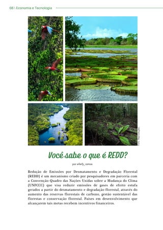 Você sabe o que é REDD?
Redução de Emissões por Desmatamento e Degradação Florestal
(REDD) é um mecanismo criado por pesquisadores em parceria com
a Convenção-Quadro das Nações Unidas sobre a Mudança do Clima
(UNFCCC) que visa reduzir emissões de gases de efeito estufa
gerados a partir do desmatamento e degradação florestal, através do
aumento das reservas florestais de carbono, gestão sustentável das
florestas e conservação florestal. Países em desenvolvimento que
alcançarem tais metas recebem incentivos financeiros.
por @feify_ramos
08  Economia e Tecnologia
F
o
t
o
:
R
e
p
r
o
d
u
ç
ã
o
.
 