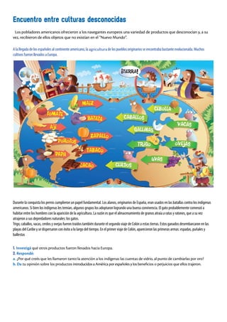 Los pobladores americanos ofrecieron a los navegantes europeos una variedad de productos que desconocían y, a su
vez, recibieron de ellos objetos que no existían en el “Nuevo Mundo”.
1. Investigá qué otros productos fueron llevados hacia Europa.
2. Respondé:
a. ¿Por qué creés que les llamaron tanto la atención a los indígenas las cuentas de vidrio, al punto de cambiarlas por oro?
b. Da tu opinión sobre los productos introducidos a América por españoles y los beneficios o perjuicios que ellos trajeron.
A la llegada de los españoles al continente americano, la agricultura de los pueblos originarios se encontraba bastante evolucionada. Muchos
cultivos fueron llevados a Europa.
Durante la conquista los perros cumplieron un papel fundamental. Los alanos, originarios de España, eran usados en las batallas contra los indígenas
americanos. Si bien los indígenas les temían, algunos grupos los adoptaron logrando una buena convivencia. El gato probablemente comenzó a
habitar entre los hombres con la aparición de la agricultura. La razón es que el almacenamiento de granos atraía a ratas y ratones, que a su vez
atrajeron a sus depredadores naturales: los gatos.
Trigo, caballos, vacas, cerdos y ovejas fueron traídos también durante el segundo viaje de Colón a estas tierras. Estos ganados desembarcaron en las
playas del Caribe y se dispersaron con éxito a lo largo del tiempo. En el primer viaje de Colón, aparecieron las primeras armas: espadas, puñales y
ballestas
Encuentro entre culturas desconocidas
 