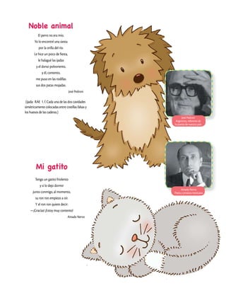 Noble animal
El perro no era mío.
Yo lo encontré una siesta
por la orilla del río.
Le hice un poco de fiesta,
le halagué las ijadas
y el dorso polvoriento,
y él, contento,
me puso en las rodillas
sus dos patas mojadas.
José Pedroni
Mi gatito
Tengo un gatito friolento
y si lo dejo dormir
junto conmigo, al momento,
su ron ron empiezo a oír.
Y el ron ron quiere decir:
—¡Gracias! ¡Estoy muy contento!
Amado Nervo
(ijada: RAE 1. f. Cada una de las dos cavidades
simétricamente colocadas entre costillas falsas y
los huesos de las caderas.)
José Pedroni
Argentino, referente de
la poesía de nuestro país
Amado Nervo
Poeta y prosista mexicano
 