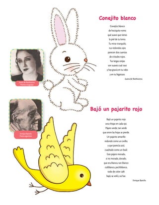 Conejito blanco
Conejito blanco
de hociquito romo
qué suave que tienes
la piel de tu lomo.
Tu mirar tranquilo,
tus redondos ojos
parecen dos cuentas
de cristales rojos.
Tus largas orejas
son suaves cual raso
y hay gracia en tu rabo
y en tu bigotazo.
Juana de Ibarbourou
Bajó un pajarito rojo
Bajó un pajarito rojo
una chispa en cada ojo.
Pájaro verde, tan verde
que entre las hojas se pierde.
Un pajarito amarillo
redondo como un ovillo;
y que parecía azul,
cuadrado como un baúl.
Este pájaro morado,
si no morado, dorado,
que era blanco, tan blanco
coliblanco, pechiblanco,
todo de color café
bajó, se voló y se fue.
Enrique Banchs
Juana de Ibarbourou
Poetisa uruguaya
Enrique Banchs
Poeta argentino
 