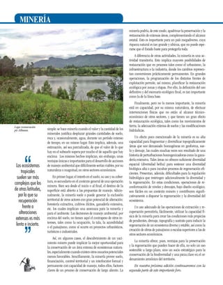 MINERÍA
minería podría, de este modo, apadrinar la preservación y la
restauración de extensas áreas, complementando el alcance
estatal. Esto es importante para un país megadiverso, cuya
riqueza natural es tan grande y ubicua, que no puede esperarse que el Estado baste para protegerla toda.
A diferencia de otras actividades, la minería es una actividad transitoria. Esto implica mayores posibilidades de
restauración que en procesos tales como el urbanismo, la
infraestructura o la industria, donde los cambios representan conversiones prácticamente permanentes. En grandes
operaciones, la programación de los distintos frentes de
explotación permite, así mismo, planificar la restauración
ecológica por zonas y etapas. Por ello, la definición del uso
definitivo y del escenario ecológico final, es tan importante
como la de la línea base.

Lago restauración
pit Albania.

Los ecosistemas
tropicales
suelen ser más
complejos que los
de otras latitudes,
por lo que su
recuperación
frente a
alteraciones
extensas es más
lenta e incierta.

30

simple: se hace minería cuando el valor y la cantidad de los
minerales justifica desplazar grandes cantidades de suelo,
roca y, ocasionalmente, agua, durante un período extenso
de tiempo, en un mismo lugar. Esto implica, además, una
estimación, así sea parcializada, de que el valor de lo que
hay en el subsuelo supera por mucho el de aquello que hay
encima. Los mismos hechos implican, sin embargo, unas
ventajas únicas e importantes para el desarrollo de acciones
de manejo ambiental que difícilmente serían viables, por su
naturaleza o magnitud, en otros sectores económicos.
En primer lugar, el interés en el suelo, su uso y su cobertura, es secundario en el contexto general de una operación
minera. Bien sea desde el inicio o al final, el destino de la
superficie está abierto a las propuestas de manejo. Adicionalmente, la minería suele o puede generar la exclusión
territorial de otros actores con gran potencial de alteración:
forestería extractiva, cultivos ilícitos, ganadería extensiva,
etc. los cuales implican una amenaza para la minería y
para el ambiente. Las decisiones de manejo ambiental, por
encima del suelo, no tienen aquí el contrapeso de otros intereses, tales como la ocupación, la tala, la accesibilidad
o el paisajismo, como sí ocurre en proyectos urbanísticos,
turísticos o industriales.
Así, en algunos casos, el descubrimiento de un yacimiento minero puede implicar la mejor oportunidad para
la conservación de un área extensa de ecosistemas naturales, especialmente cuando existen otros usuarios potenciales
menos favorables. Sencillamente, la minería provee suelo,
financiación, control territorial y un interlocutor formal y
permanente con capacidad de manejo, todos ellos, factores
claves de un proceso de conservación de largo aliento. La

Finalmente, pero no lo menos importante, la minería
está en capacidad, por su misma naturaleza, de efectuar
intervenciones físicas que no están al alcance técnicoeconómico de otros sectores, y que tienen un gran efecto
de restauración ecológica, tales como los movimientos de
tierra, la adecuación extensa de suelos y las modificaciones
hidráulicas.
Un efecto poco mencionado de la minería es su alta
capacidad para fragmentar y diversificar topograficamente
áreas que son demasiado homogéneas en geoforma, suelo y drenaje, las cuales muchas veces son resultado de una
historia de perturbaciones homogenizadoras como la ganadería extensiva. Tales áreas no ofrecen suficiente diversidad
espacial (diversidad betha) para sostener una diversidad
biológica alta o para incubar procesos de regeneración eficientes. Presentan, además, dificultades para la regulación
hidrológica que restringen adicionalmente la diversidad y
la regeneración. En estas condiciones, operaciones de reconformación de niveles y drenajes, bajo diseño ecológico,
son fáciles en un contexto minero y contribuyen significativamente a disparar la regeneración y la diversidad del
ecosistema.
Un uso adecuado de las operaciones de extracción y recuperación permitiría, fácilmente, utilizar la capacidad física de la minería para crear las condiciones más propicias
de pendientes, drenaje, topografía y sustrato para inducir la
regeneración de un ecosistema diverso y estable, así como la
creación de obras de paisajismo a escalas superiores a las de
otros sectores económicos.
La minería ofrece, pues, ventajas para la preservación
y la regeneración que pueden hacer de ella, no solo un uso
sostenible a largo plazo, sino un socio estratégico para la
conservación de la biodiversidad y una pieza clave en el ordenamiento armónico del territorio.
En nuestra próxima edición continuaremos con la
segunda parte de este importante foro.

 