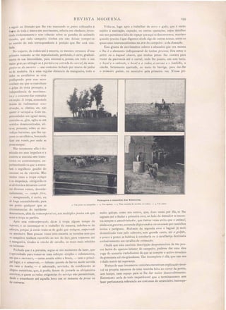 REVISTA MODERNA.
I. Um posto na campanha. -' 2, Um capataz. - 3. Uma manada de cavallos no rodeio. - ·h Um paleo.
199
meiro galope como nos outro} que) dua vezes por dia, se lhe
seguem até o findar a primeira sova, ao lado do domador se encon-
tra sempre o amadrinhador} que tantas vezes evita que o animal,
ainda semgove1'1w, enverede disparando e c01-eovcando por cami nhos
invios e perigosos. Redomão da egunda sova o bagual já mais
dome ticado vem pelo cabresto, sem grande custo, até o galpão}
e pouco a pouco se habitua á estrebaria ou á cavallariça destinada
exclusivamente aos cavaUos de estimaçào.
Oxalá que e ta uccinta descripção despretenciosa de tão pou-
cos factos do opero o labutar do campeiro pude se dar uma idea
vaga do scenario variadi simo de que se compõe o activo tirocinio
do~ymna ta ul-rio-grandense. Tão incompleta é ella que não nos
é dado nutrir tal esperança.
Muitas de uas innumeras omissõe encontram explicaçãorasoa.
velna propria natureza de uma resenha feita ao correr da penna,
sem tempo, nem espaço para se lhe dar maior desenvolvimento.
Entretanto seria de todo imperdoavel que a termina. semos sem
fazer perfunctoria referencia aos co tumes do estancieiro inéompa~
Volta-se, logo após a trabalhar de novo o gado, que é então
sujeito á marcação, capação, ou outras operações, cujos detalhes
não nos permittea falta de espaço que aqui as descrevamos, maximo
quando preciso é que digamos ainda algo de outras scenas, entre as
quaes uma interessantissima na al'te do campeiro : a da domação.
Esse ginete de movimentos celeres e educados que ora monta
e lhe é o elemento indispensavel de tantas pl-oezas, fôra antes o
potro ou o bagual c/mero) que muitas penas lhe custara para
trazer da qtterencia até o curral onde lhe puzera, não sem lucta,
o boçal e o cabl-esto) o bocal e a l'edea) a cal'ona e o lombilho) a
cinc/la, fortemente apertada, ao meio da barriga, para dar-lhe
o fJrúlleú'G galofJe) ou montai-o pela primeira vez. N 'esse pri-
Paisagens e aspectos das Estancias.
muitas "eze a tropa rifttga
e se despedaça, obrigando-os
ao alvitredea deixarem correr
em diversos rumos, desorde-
nadamente, - campo jóra)
- lIu11lguealldo, é certo, ou
de IOllge encaminhando, para
um ponto qualquer que as
circumstancia do incidente
determinem, afim de reinc01-poral-as, aos multiplo POl/tos em que
acaso a tropa se partira.
Após essa l-ez'ncol'pol'açào} dá-se á tropa algum tempo de
repouso, e ao recomeçar-se o trabalho da encerra, redobra-se de
esforços, porque já então trata-se de gado que l'efugou, empe1'1-ado
ou 11lanhet1'o. Bem poucas vezes uma encerra se termina sem que
os campeiros tenham recorrido ao uso do laço, paTa traserem até
á mangueira, tirados á cillcha de ca"alIa, as rezes mais rebeldes
ou teimosas.
Fechada que é a porteira, egue-se um momento de lazer, que
é aproveitado para tomar-se uma refeição simple e ub tauciosa,
em que o xU1'1'asco} -carne assada sobre a braza - tem o princi-
pal lagar) e o Xz11talTáo} - infusão quente de herva matte servida
em euia e bomba, - é saboreado, ervindo, de condimento ás
alegres narrativas, que, á porfia, fazem da jornada os alviçareiros
convivas, a quem as rudes ex.igencias do serviço não permittiram,
desde o amanhecer até aquelIa hora um' só instante de prosa ou
de conVersa.
a seguir na direcção que lhe vão marcando os guias collocados á
fr€l1te de toda a mas a em movimento, relucta em obedecer, inves-
tindo violentamente e sem cohesão sobre as paredes do animado
circuito, que cada campeiro timbra em não deixar romper-se
no sentido do raio correspondente á posiçãO que lhe está con-
fiada.
No trajecto, do rodeio'até á encerra, os mesmos arrancos d'esse
primeiro instante se vão reproduzindo, perdendo, é certo, gradual-
mente de sua intensidade, para retomaI-a, porem, em todo o seu
maior gráo, ao attingir-se á pOl'teú'a ou entrada do clwral) da man-
guelÍ-a ou da 8nCernT. - um contorno fechado por muros de pedra
ou de madeira. Já a uma regular distancia da mangueira, tudo e
todos os cavalleiros se vem
predispondo para esse novo
combate em que se exercitam
o golpe de vista prompto, a
iudependencia de movimen-
tos e o concurso das vontades
em acção. A tropa, assustada
deante da rudimentar con-
strucção, se obstina em não
querer ir occupal-a. Com im-
petuosidades em egual recua,
coutrahe- e, gira, agita-se em
sentido desencontrados, ati-
ra- e. possante, sobre a mo-
vediças barreira, que lhe op-
poem o cavaUeiros, bu cando
fazer um l-ombo, por onde se .-
possa escapar.
Não raramente ella é do-
minada em seus impulsos e a
encerra se executa sem trans-
tornos ou contratempos, ex-
perimentando os que a execu-
tam o orgulho o gaudio do
uccesso ou da victoria. Mas
 