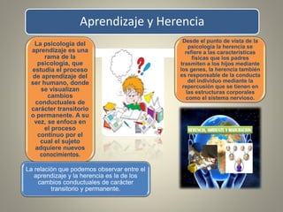 Aprendizaje y Herencia
La psicología del
aprendizaje es una
rama de la
psicología, que
estudia el proceso
de aprendizaje del
ser humano, donde
se visualizan
cambios
conductuales de
carácter transitorio
o permanente. A su
vez, se enfoca en
el proceso
continuo por el
cual el sujeto
adquiere nuevos
conocimientos.
Desde el punto de vista de la
psicología la herencia se
refiere a las características
físicas que los padres
trasmiten a los hijos mediante
los genes, la herencia también
es responsable de la conducta
del individuo mediante la
repercusión que se tienen en
las estructuras corporales
como el sistema nervioso.
La relación que podemos observar entre el
aprendizaje y la herencia es la de los
cambios conductuales de carácter
transitorio y permanente.
 