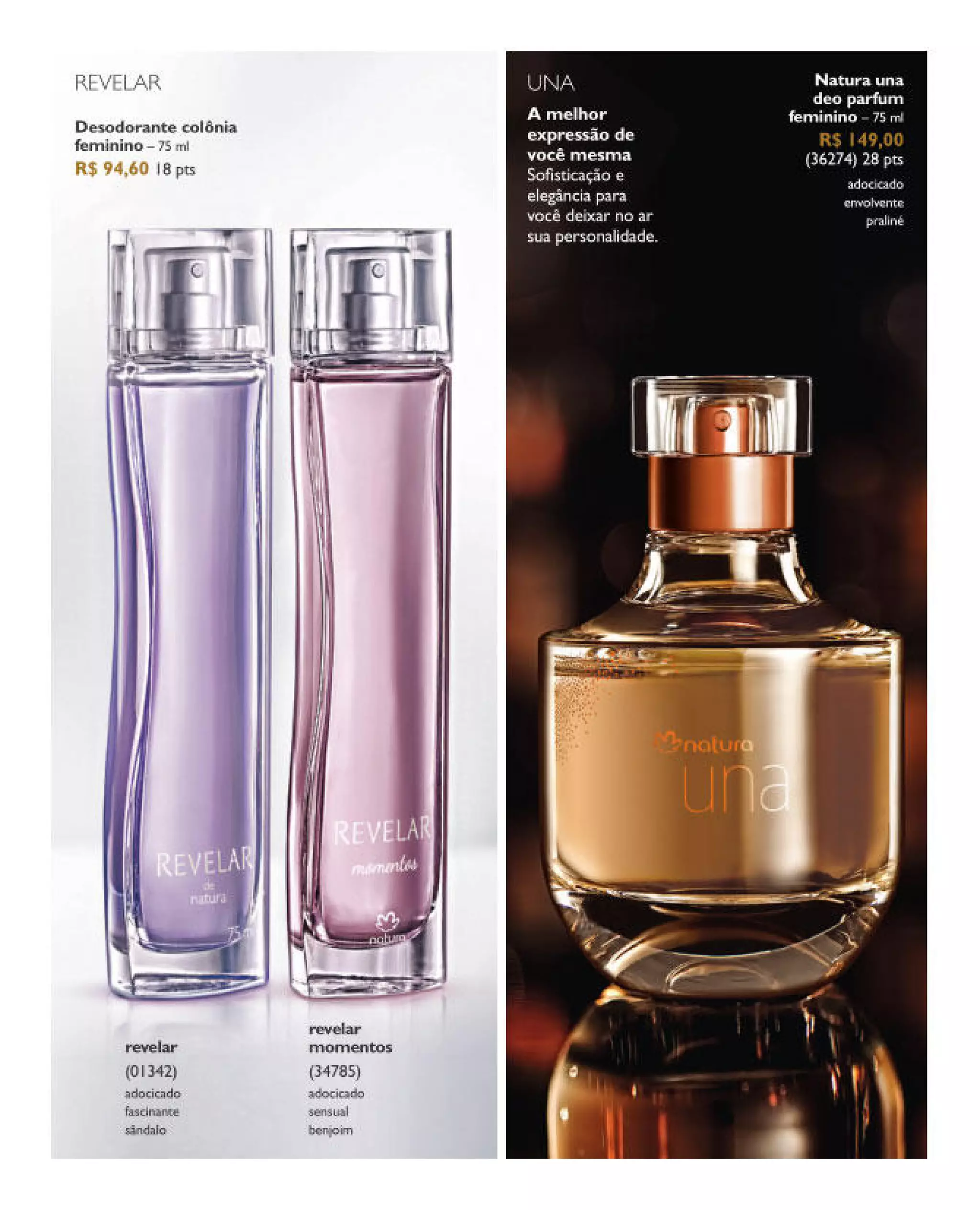 Revista natura ciclo 01 - janeiro 2014