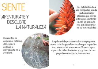 4 5
SIENTE
La pileta de la plaza central es una pequeña
muestra de las grandes cascadas que se pueden
encontrar en los adentros de Nono; el agua
esparce la vida a los frutos y vegetales de este
pequeño santuario de la naturaleza.
Los habitantes día a
día comparten con la
Pachamama los
placeres que otorga
este lugar. Mantenie-
nieno un contacto
real con la naturale-
za, su espiritualidad
aventurate y
		deSCUBRE
					la naturaleza
Es sencillo, es
cotidiano, es Nono.
Arriesgate a
conocer y
enrruedarte en la
aventura.
 