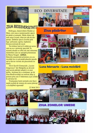 Dobrogea, tinutul dintre Dunăre şi
Mare, este casa a numeroaselor specii
de păsări şi animale. Multe dintre ele
sunt unice în ţară, chiar pe cale de dis-
pariţie. Întâlnim specii ocrotite prin
lege: pelicanul, egreta, lopătarul,
broasca ţestoasă de uscat.
Nu trebuie însă să îi uităm pe aceea
care nu au o protecţie specială. În
această situaţie se află cele mai minunate
mamnifere care ne aşteaptă prietenoase
în Marea Neagră : delfinii.
Datorită caracterului prietenos şi a cu-
riozităţii lor ei cad pradă plaselor pescăr-
eşti şi devin victime ale pescuitului in-
tensiv.
Elevii Şcolii Gimnaziale „Lucian
Grigorescu‖ din Medgidia au devenit
anul acesta părinţii adoptivi ai unui
delfin. Acţiunea lor a continuat, iar de
Ziua Biodiversităţii au realizat afişe şi
postere prin care îi îndemnau şi pe ceilalţi
la salvarea lor.
Frumuseţea lumii animale este fasci-
nantă şi plină de mistere de aceea păstraţi
-o în deplină siguranţă!
22 MAI 2013
ECO DIVERSITATE
Ziua păsărilorZiua păsărilor
Luna februarieLuna februarie -- Luna reciclăriiLuna reciclării
ZIUA ZONELOR UMEDEZIUA ZONELOR UMEDE
 
