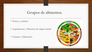Grupos de alimentos.
• Frutas y verduras.
• Leguminosas y Alimentos de origen animal.
• Cereales y Tubérculos.

 