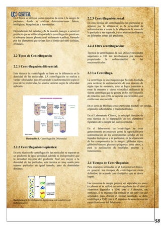 58
En Clínica se utilizan como muestras la orina o la sangre de
pacientes, donde se realizan determinaciones físicas,
biológicas, bioquímicas u hormonales.
Dependiendo del estudio y de la muestra (sangre u orina) el
producto que se utilice después de la centrifugación puede ser
el sobrante (suero, plasma) o el sedimento o pellets, formado
por los elementos que se han ido al fondo del tubo (células,
cristales).
2.2 Tipos de Centrifugación
2.2.1 Centrifugación diferencial:
Esta técnica de centrifugado se basa en la diferencia en la
densidad de las moléculas. LA centrifugación se realiza a
varias velocidades para ir logrando la sedimentación según el
peso de las moléculas, las cuales variaran según la velocidad
aplicada.
Ilustración 1. Centrifugación Diferencial
2.2.2 Centrifugación isopícnica:
En esta técnica de centrifugación las partículas se separan en
un gradiente de igual densidad, además es indispensable que
la densidad máxima del gradiente final sea mayor a la
densidad de las partículas, esta técnica es muy usada para
separar partículas de igual tamaño, pero de densidades
distintas.
Ilustración 2. Centrifugación isopícnica o de equilibrio de
sedimentación
2.2.3 Centrifugación zonal:
En esta técnica de centrifugación las partículas se
separan por la diferencia en la velocidad de
sedimentación a causa de la diferencia de masa de
la partícula a ser separada, y esta muestra sedimenta
en diferentes zonas del gradiente.
2.2.4 Ultra centrifugación:
Técnica de centrifugado, la cual utiliza velocidades
superiores a 100 mil revoluciones por minuto,
propiciando la sedimentación de las
macromoléculas.
2.3 La Centrífuga.
La centrífuga es una máquina que ha sido diseñada
para acelerar la sedimentación de una muestra de
algún tipo de sustancia, esto se logra poniendo a
rotar la muestra a cierta velocidad utilizando la
fuerza centrífuga que se genera en los movimientos
de rotación, con el fin de separar los elementos que
conforman una mezcla.
En el área de Biología estas partículas pueden ser células,
orgánulos subcelulares o macromoléculas.
En el Laboratorio Clínico, la principal función de
esta técnica es la separación de los elementos
figurados de la sangre del suero o plasma.
En el laboratorio las centrífugas se usan
generalmente en procesos como la separación por
sedimentación de los componentes sólidos de los
líquidos biológicos y en particular, en la separación
de los componentes de la sangre: glóbulos rojos,
glóbulos blancos, plasma y plaquetas, entre otros, y
para la realización de múltiples pruebas y
tratamientos.
2.4 Tiempo de Centrifugación
Para muestras utilizadas en el Laboratorio Clínico,
en general, los tiempos de centrifugación están
definidos, de acuerdo con el objetivo que se desea
lograr.
Las muestras de sangre pueden ser separadas en suero
(o plasma si se utilizó un anticoagulante en el tubo) y
elementos figurados a 1500 rpm x 5 minutos, sin
embargo, si la muestra fue tomada en un tubo con gel
separador, para obtener el mismo resultado, se debe
centrifugar a 3500 rpm x 15 minutos, de acuerdo con las
especificaciones del fabricante.
 