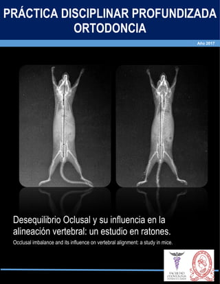 1
Desequilibrio Oclusal y su influencia en la
alineación vertebral: un estudio en ratones.
Occlusal imbalance and its influence on vertebral alignment: a study in mice.
PRÁCTICA DISCIPLINAR PROFUNDIZADA
ORTODONCIA
Año 2017
 