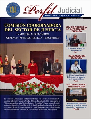 Revista Perfil Judicial.