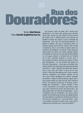 31
                                             Rua dos
Douradores                           Uns passos mais na areia. Há o aroma dos
             Texto: Abel Neves    lombinhos e as horas são gordura que derrete.
Foto: Davide Guglielmo/sxc.hu     Serei hoje menos do que ontem? Saí do bairro
                                  da Graça com A Metamorfose das Plantas de
                                  Goethe no bolso do casaco e com a intenção de
                                  frequentar uma loja de electrodomésticos na
                                  Baixa da cidade, nas ruas e travessas onde, no
                                  império antigo, houve fórum romano. Até à volta,
                                  no eléctrico, não li uma linha do poeta sobre os
                                  mistérios da botânica. Ao descer a Rua Augusto
                                  Rosa passei os olhos num pintor japonês quase
                                  encostado ao muro da rua, do lado da bela figuei-
                                  ra, um pouco abaixo, e lembrei-me de Vincent
                                  ao ar livre, mirando moinhos e corvos com o
                                  seu chapéu de palha. Sempre que passo na Rua
                                  dos Douradores – se me lembro que passo na
                                  Rua dos Douradores – olho para as janelas dos
                                  velhos prédios na esperança de impossivelmente
                                  encontrar o olhar inquieto de Bernardo Soares
                                  com o seu peso de sentir! O peso de ter que
                                  sentir! A Rua dos Douradores tem vinte e quatro
                                  bonitos candeeiros que deitam aquela luz de
                                  ouro que Lisboa agradece por darem sossego
                                  ao casario, e alguns estão já acesos, agora que o
                                  céu mostra ainda um azul de luxo. Nos números
                                  52-54, na esquina da Rua de S. Nicolau, está a
                                 “Adega dos Lombinhos – Vinhos Verdes” e tem
                                  o seu movimento, um homem que entra e dois
                                  que saem. Através da vitrina, do lado de fora – do
                                  lado onde estou, do lado de cá da galáxia – vê-se
                                  a frigideira com os lombinhos. Ah, como é bom
                                  salivar os lombinhos gordurosos da Adega da Rua
                                  dos Douradores! A barbearia de Pessoa já não se
                                  vê, nem ele. Também eu – como ele disse – serei
                                  o que deixou de passar nestas ruas, o que outros
                                  vagamente evocarão com “o que será delle?”.
 