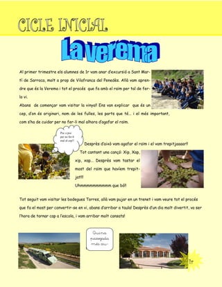 1r
Al primer trimestre els alumnes de 1r vam anar d’excursió a Sant Mar-
tí de Sarroca, molt a prop de Vilafranca del Penedès. Allà vam apren-
dre que és la Verema i tot el procés que fa amb el raïm per tal de fer-
lo vi.
Abans de començar vam visitar la vinya!! Ens van explicar que és un
cep, d’on és originari, nom de les fulles, les parts que té... i el més important,
com s’ha de cuidar per no fer-li mal alhora d’agafar el raïm.
Desprès d’això vam agafar el raïm i el vam trepitjaaaar!!
Tot cantant una cançó: Xip, Xap,
xip, xap... Desprès vam tastar el
most del raïm que havíem trepit-
jat!!!
Uhmmmmmmmmmm que bó!!
Tot seguit vam visitar les bodegues Torres, allà vam pujar en un trenet i vam veure tot el procés
que fa el most per convertir-se en vi, abans d’arribar a taula! Desprès d’un dia molt divertit, va ser
l’hora de tornar cap a l’escola, i vam arribar molt cansats!
Poc a poc
per no fer-li
mal al cep!!
Quina
passejada
més xu-
 
