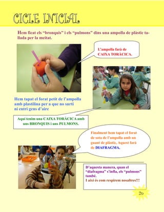 Hem ficat els “bronquis” i els “pulmons” dins una ampolla de plàstic ta-
llada per la meitat.
L’ampolla farà de
CAIXA TORÀCICA.
Hem tapat el forat petit de l’ampolla
amb plastilina per a que no surti
ni entri gens d’aire
Finalment hem tapat el forat
de sota de l’ampolla amb un
guant de plàstic, Aquest farà
de DIAFRAGMA.
D’aquesta manera, quan el
“diafragma” s’infla, els “pulmons”
també.
I així és com respirem nosaltres!!!
2n
Aquí tenim una CAIXA TORÀCICA amb
uns BRONQUIS i uns PULMONS.
 