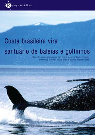 2
Costa brasileira vira
santuário de baleias e golfinhos
Isto reafirma compromisso do país com a preservação dos cetáceos
e incentiva usos não-letais, como o turismo de observação.
 