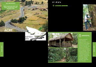 Informações: www.turismobrasil.gov.br - www.ac.gov.br
                                Dica importante                                                                                                                                                                                      (Fotos Luís Olarte)
                                                                                                        Carretera Interoceanica

                            Melhor época para fazer este                                                                                 principais atrativos
                            roteiro: durante todo o ano.                                                                          • Artesanato (látex), produção agroindustrial (castanha e borracha),
                                  Duração: 6 dias                                                                                   culinária local (tacacá, galinha caipira, peixes), joias (biojoias feitas
                                                                                                                                    de sementes), manifestações culturais (marujada).
                                                                                                                                  • Rio Branco: Parque Ambiental Chico Mendes, com floresta, fauna e
Diego Gurgel / Setul - AC




                                                                                                                                    memorial; Horto Florestal (17 hectares de vegetação natural, trilhas
                                                                                                                                    e áreas esportivas); Parque Capitão Ciríaco, museu a céu aberto
                                                                                                                                    dedicado à história do Acre; Casa dos Povos da Floresta, centro
                                                                                                                                    cultural com exposições sobre mitos, lendas e povos da floresta;
                                                                                                                                    Mercado Velho, construído no final da década de 1920; Museu da
                                                                                                                                    Borracha, casarão histórico que possui acervo a respeito da religião
                                                                                                                                    da floresta, mais conhecido como Santo Daime e conta episódios da
                                                                                                                                    descoberta da Borracha.
                                                                                                                                  • Reserva Extrativista Chico Mendes e Seringal Cachoeira: primeiro
                                                                                                                                    projeto de assentamento agroextrativista criado no Estado, de
                                                                                                                                    interesse histórico e científico.
                                                                                                                                  • Xapuri: Casa de Chico Mendes, onde viveu o líder seringueiro nos anos
                                                                                                                                    anteriores a seu assassinato. Guarda móveis e utensílios originais.
                                                                                                                                  • Brasileia/Epitaciolândia: Zona Franca Brasil-Bolívia.


                             acre
                                                                                                                                  • Assis Brasil: Porto da Fronteira Trinacional e Romaria Ecológica
                                                                                                                                    Alma do Bom Sucesso.




                                                                                                                                                                                                                Imperdível
                             roteiro CAMINHOS DO PACÍFICO /
                             CAMINHOS DE CHICO MENDES                                                                                                                                                   Parque Ambiental
                                                                                                                                                                                                        Chico Mendes
                             Com o Peru a oeste e a Bolívia ao sul, o      do Velho, entre outras atrações, e a famo-                                                                                   (Rodovia AC 40, km 7,
                             Acre é o ponto de partida da rota Caminhos    sa Xapuri, berço da luta ambientalista em                                                                                    Vila Acre). Sua criação
                             do Pacífico, que encanta o turista com fes-   defesa das reservas naturais da Amazô-                                                                                       inspirou-se no sonho
                                                                                                                                                                                                        de Chico Mendes, que
Região Norte




                             tas milenares, culinária saborosa, sucos de   nia, onde se encontra a casa que perten-




                                                                                                                                                                                                                                                   Região Norte
                             frutas típicas, seringais, banhos de rio e,   ceu ao célebre líder seringueiro Chico                                                                                       previa a convivência
                             principalmente, com a fauna e a flora ama-    Mendes.                                                                                                                      harmoniosa do homem
                             zônicas. Não faltam opções aos turistas,                                                                                                                                   com a natureza. Possui
                             que podem aproveitar a oportunidade para      Em Xapuri, o visitante percorre trilhas e co-                                                                                floresta primária, com
                             estender a viagem, via Carretera Interocea-   nhece o dia a dia de um seringal. O pas-                                                                                     vegetação exuberante
                             nica Sur, e conhecer os países vizinhos.      seio permite ainda conhecer melhor uma                                                                                       e fauna diversificada,
24                                                                         parte da história do Brasil relacionada à                                                                                    zoológico, réplicas de                    25
                             No roteiro, visitas às mais interessantes     luta pela ocupação brasileira da Amazônia                                                                                    malocas indígenas
                             cidades acreanas, como a capital, Rio         e compreender a importância de se con-                                                                                       e seringal. Abriga
                             Branco, onde o turista pode conhecer a        servar a maior floresta tropical do planeta.                                                                                 também o Memorial
                             Casa do Artesão, a Casa dos Povos da          Também podem fazer parte do circuito as                                                                                      Chico Mendes.
                             Floresta, o Museu da Borracha e o Merca-      cidades de Brasileia e Assis Brasil.
 